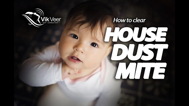 Professor Vik Veer discusses how to treat House Dust Mite