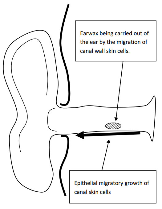 ear wax
